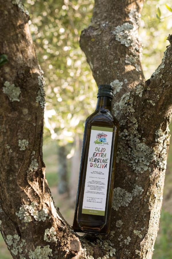 Agriturismo Daniela Bracelli Εξωτερικό φωτογραφία